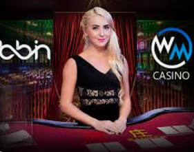 pg入口2024最新版